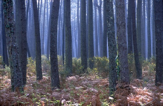 Wild nature landscapes with open vues